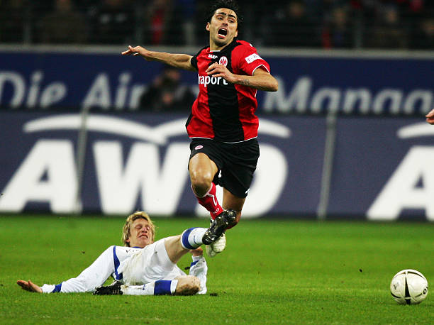 集体项目中 集体项目中